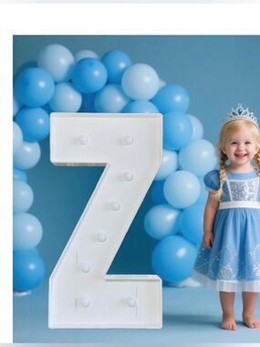 White Light-Up Letter Z